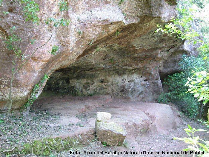 Sendero en un bosque  El contenido generado por IA puede ser incorrecto.