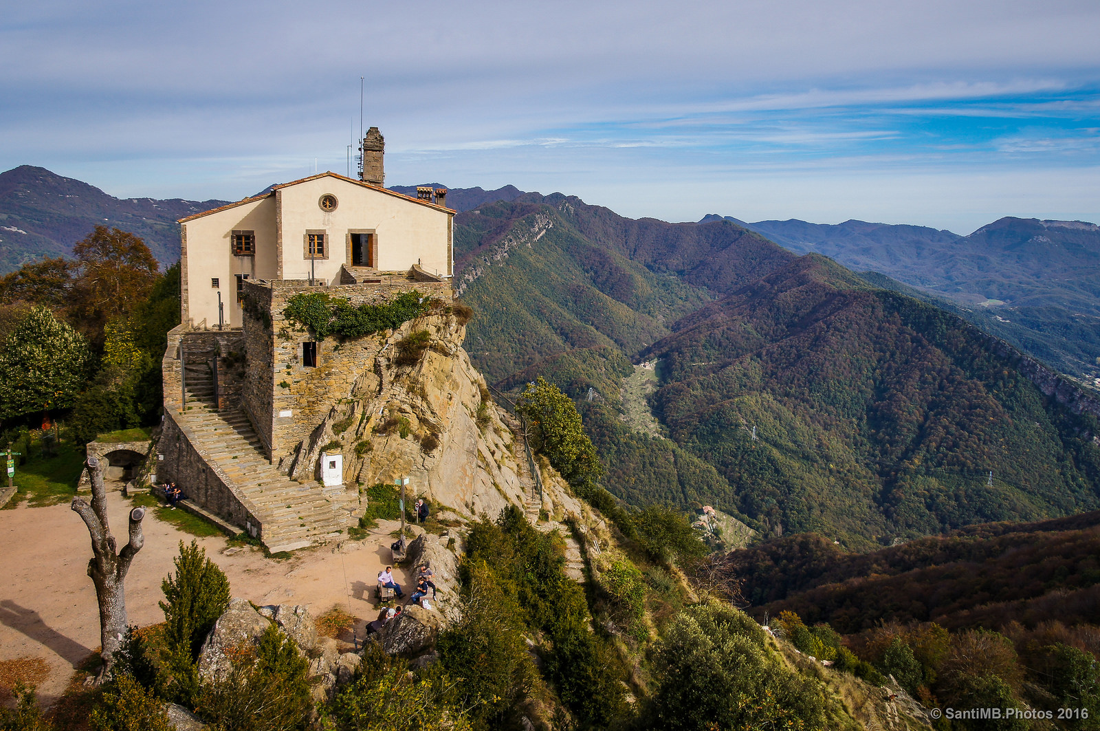 Sendero en un bosque  El contenido generado por IA puede ser incorrecto.