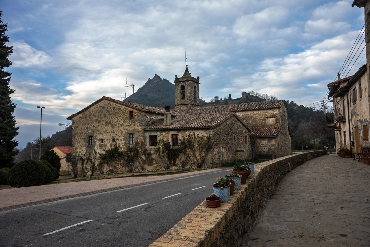 Sendero en un bosque  El contenido generado por IA puede ser incorrecto.