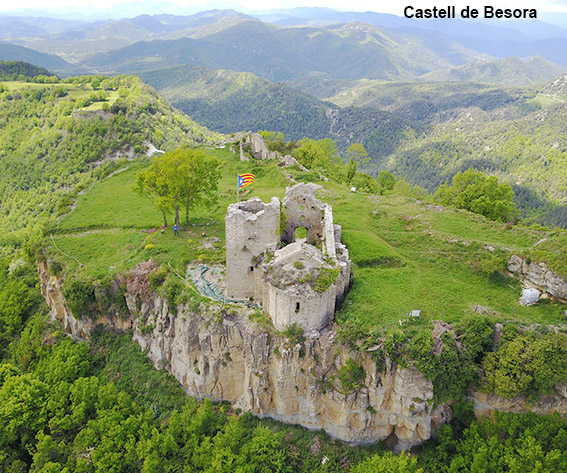 Sendero en un bosque  El contenido generado por IA puede ser incorrecto.
