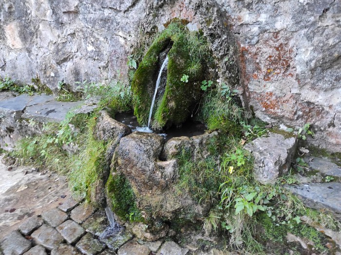 Sendero en un bosque  El contenido generado por IA puede ser incorrecto.