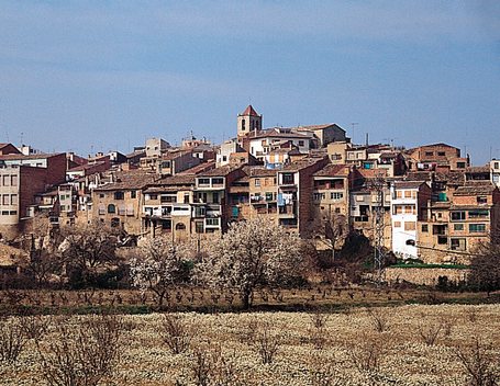 Sendero en un bosque  El contenido generado por IA puede ser incorrecto.