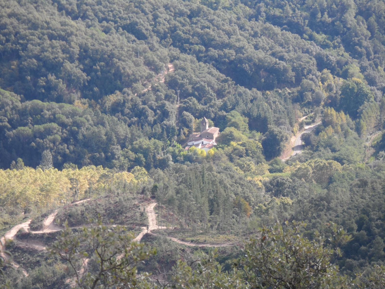Sendero en un bosque  El contenido generado por IA puede ser incorrecto.