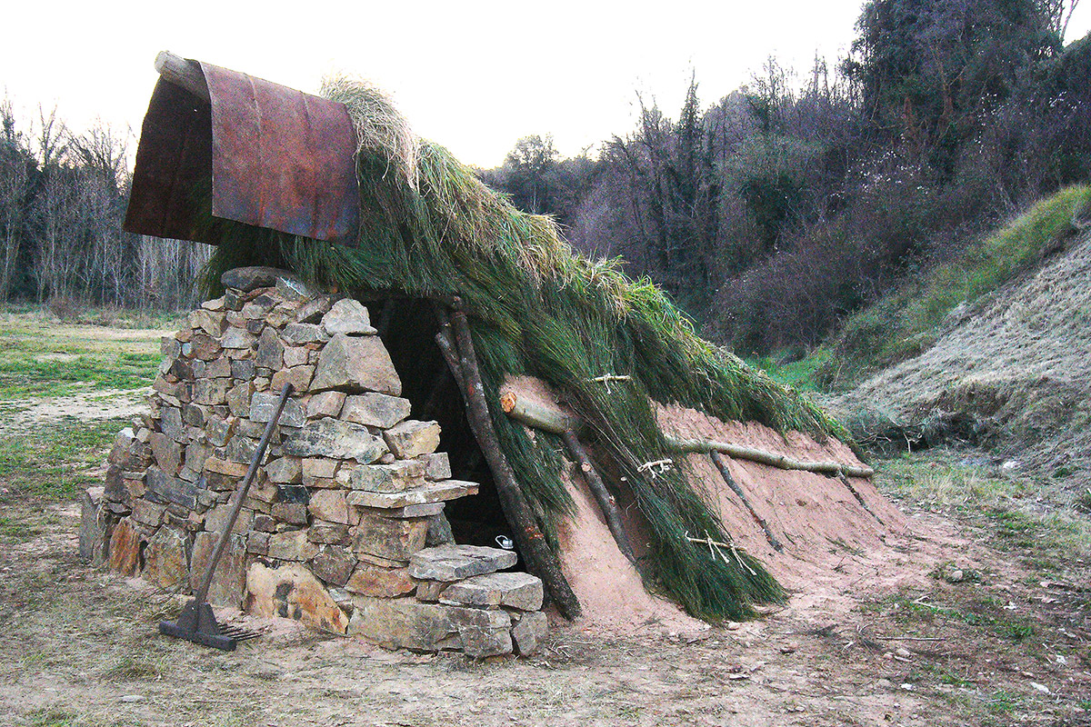 Sendero en un bosque  El contenido generado por IA puede ser incorrecto.