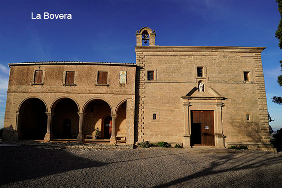 Sendero en un bosque  El contenido generado por IA puede ser incorrecto.