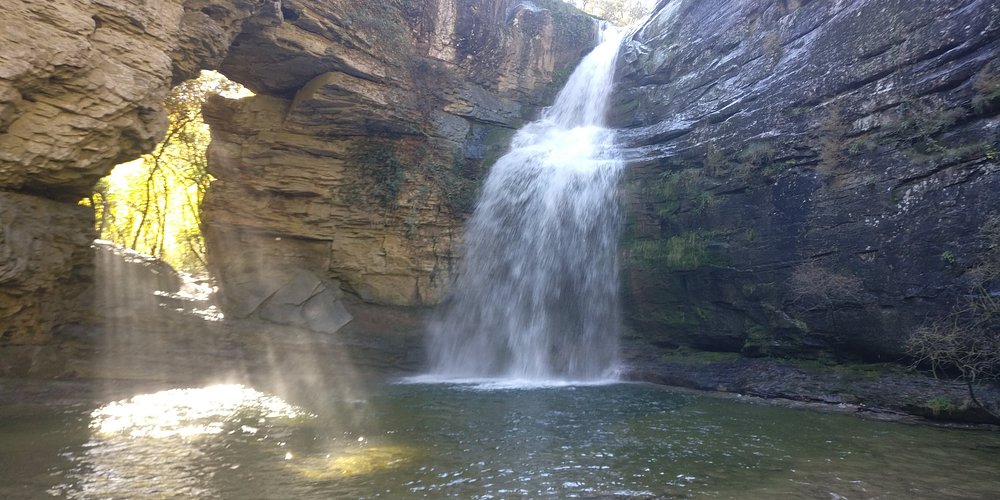 Sendero en un bosque El contenido generado por IA puede ser incorrecto.